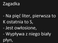 Zagadka dnia... a Ty co miałaś na myśli? ;)