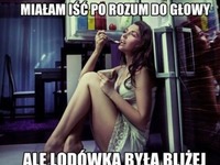 Rozum vs lodówka haha