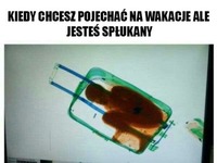 Kiedy chcesz pojechać na wakacje