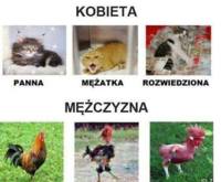 Kobieta VS Mężczyzna, haha dobre :D