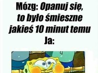 Mój mózg...