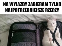 Wystarczy mi nawet jedna rzecz