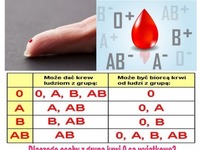 Dlaczego osoby z grupą krwi 0 są wyjątkowe?
