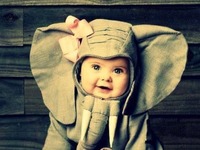 Mały słonik ;)